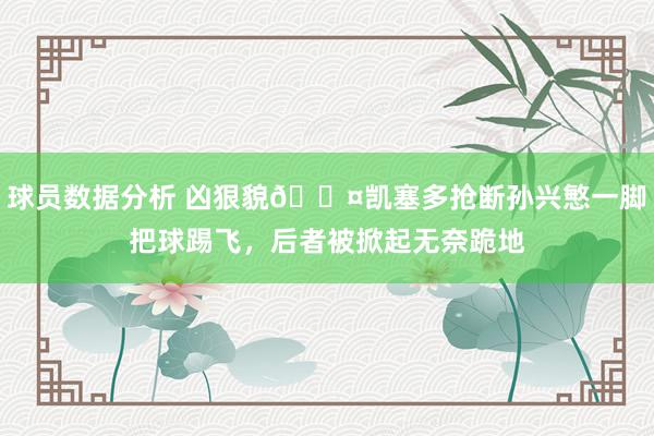 球员数据分析 凶狠貌😤凯塞多抢断孙兴慜一脚把球踢飞，后者被掀起无奈跪地