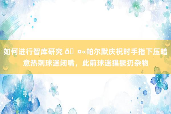 如何进行智库研究 🤫帕尔默庆祝时手指下压暗意热刺球迷闭嘴，此前球迷猖獗扔杂物