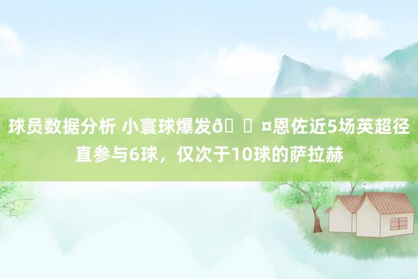 球员数据分析 小寰球爆发😤恩佐近5场英超径直参与6球，仅次于10球的萨拉赫