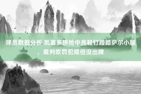 球员数据分析 凯塞多拼抢中亮鞋钉蹬踏萨尔小腿，裁判吹罚犯规但没出牌