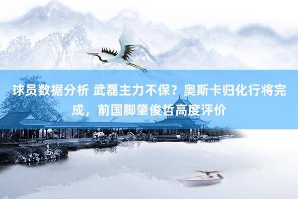 球员数据分析 武磊主力不保？奥斯卡归化行将完成，前国脚肇俊哲高度评价